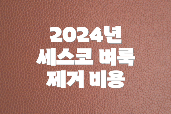 2024년 세스코 벼룩 제거 비용