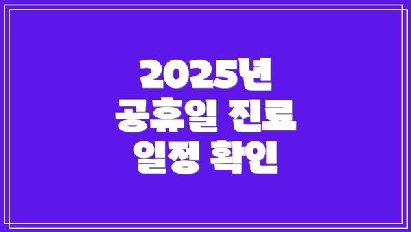 2025년 공휴일 진료 일정 확인