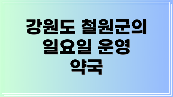 강원도 철원군의 일요일 운영 약국