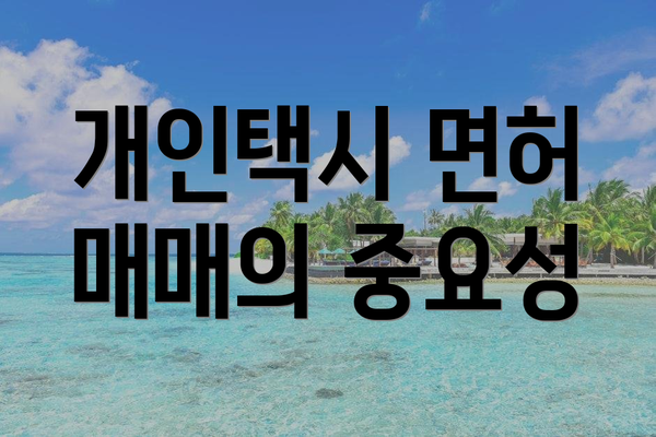 개인택시 면허 매매의 중요성