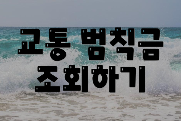 교통 범칙금 조회하기