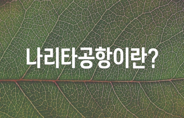 나리타공항이란?