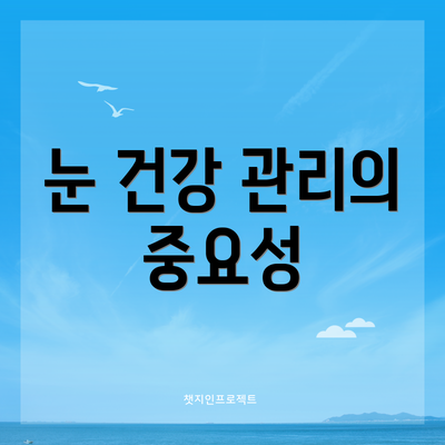 눈 건강 관리의 중요성