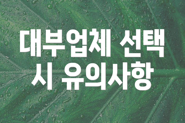 대부업체 선택 시 유의사항