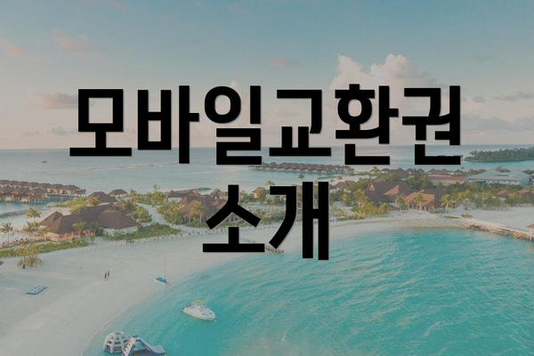 모바일교환권 소개