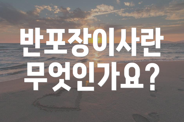 반포장이사란 무엇인가요?