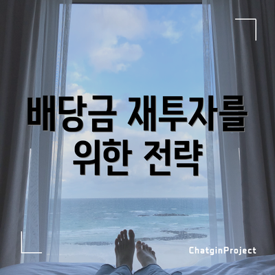 배당금 재투자를 위한 전략