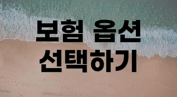 보험 옵션 선택하기