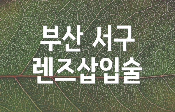 부산 서구 렌즈삽입술