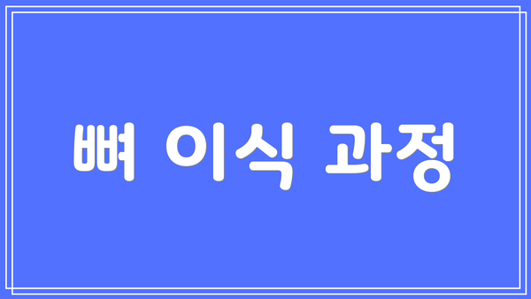 뼈 이식 과정