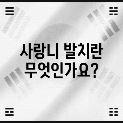 사랑니 발치란 무엇인가요?