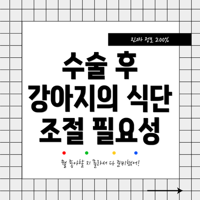 수술 후 강아지의 식단 조절 필요성