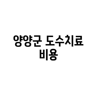 양양군 도수치료 비용