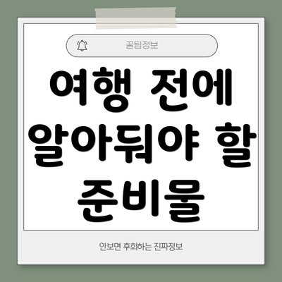 여행 전에 알아둬야 할 준비물