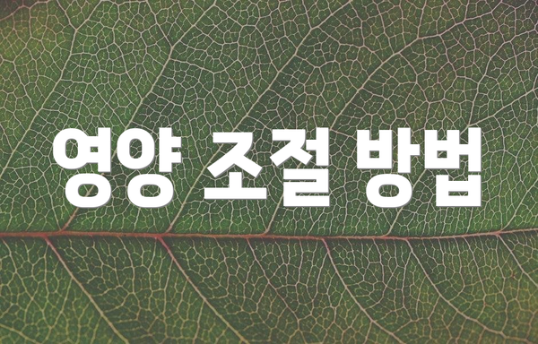영양 조절 방법