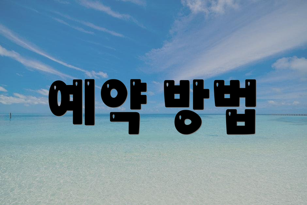 예약 방법