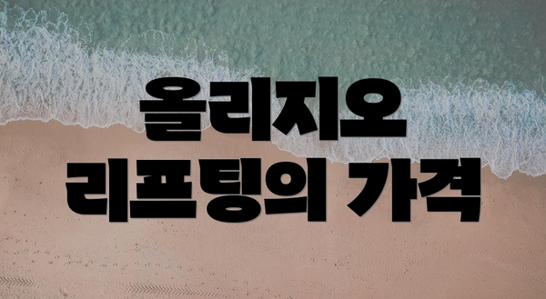 올리지오 리프팅의 가격