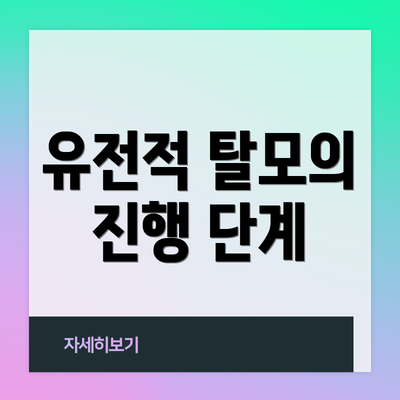 유전적 탈모의 진행 단계