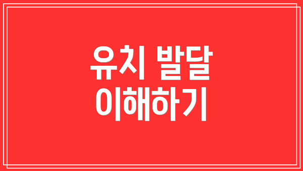 유치 발달 이해하기