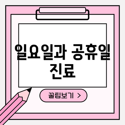 일요일과 공휴일 진료