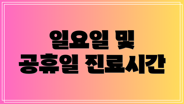 일요일 및 공휴일 진료시간