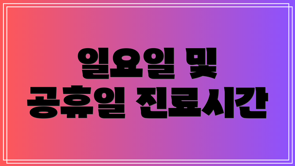 일요일 및 공휴일 진료시간