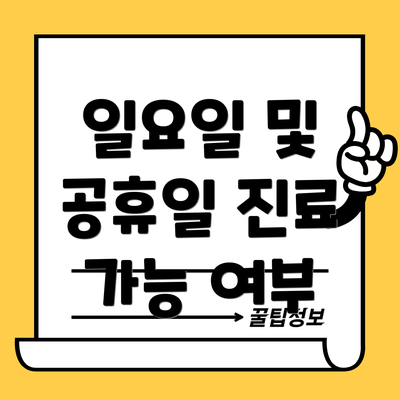 일요일 및 공휴일 진료 가능 여부