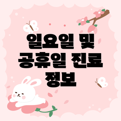 일요일 및 공휴일 진료 정보