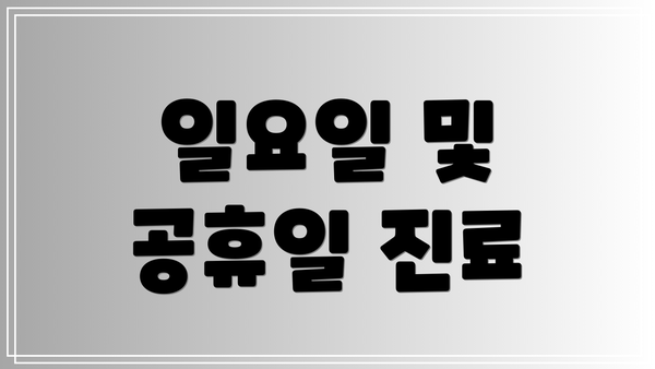 일요일 및 공휴일 진료