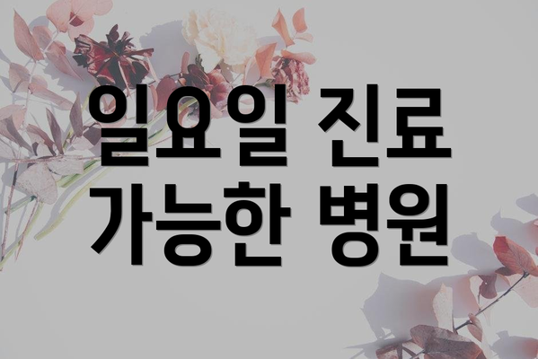 일요일 진료 가능한 병원