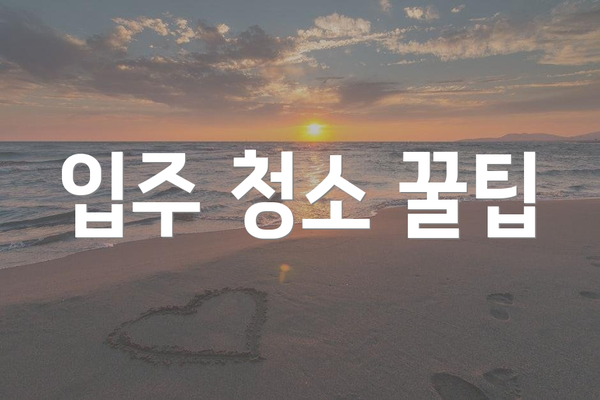 입주 청소 꿀팁