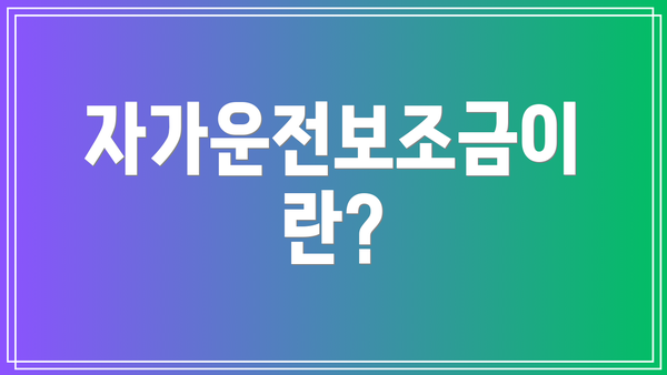 자가운전보조금이란?