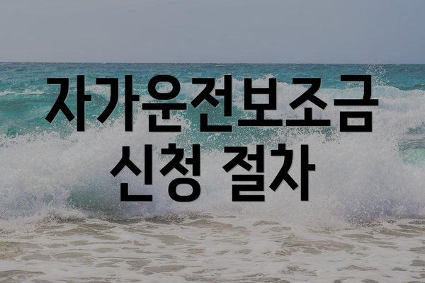 자가운전보조금 신청 절차
