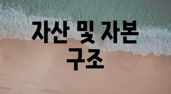 자산 및 자본 구조