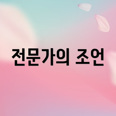 전문가의 조언