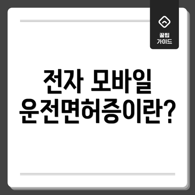 전자 모바일 운전면허증이란?