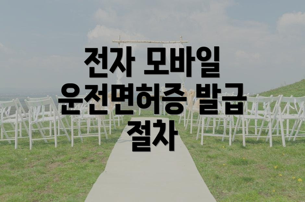 전자 모바일 운전면허증 발급 절차
