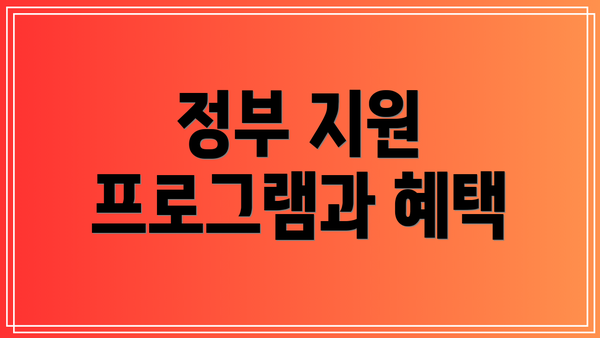 정부 지원 프로그램과 혜택