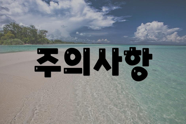 주의사항