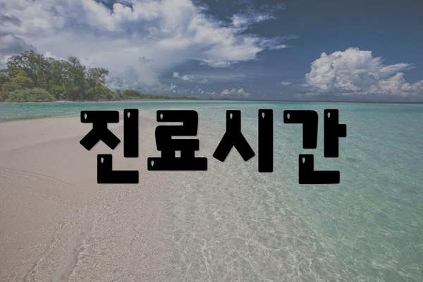 진료시간