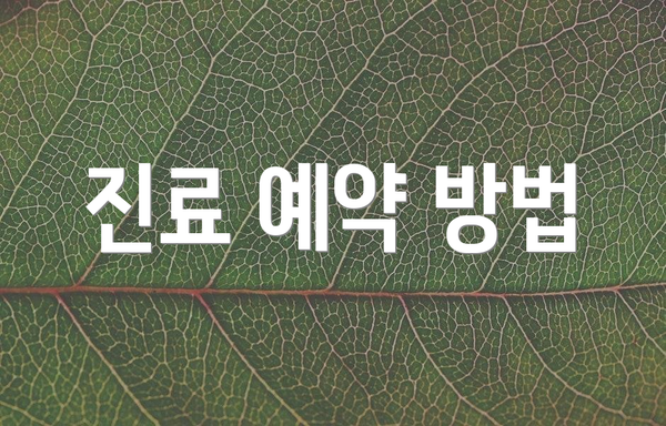 진료 예약 방법