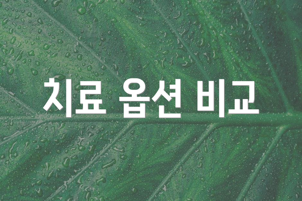 치료 옵션 비교