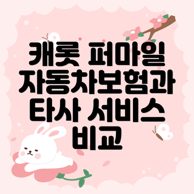 캐롯 퍼마일 자동차보험과 타사 서비스 비교