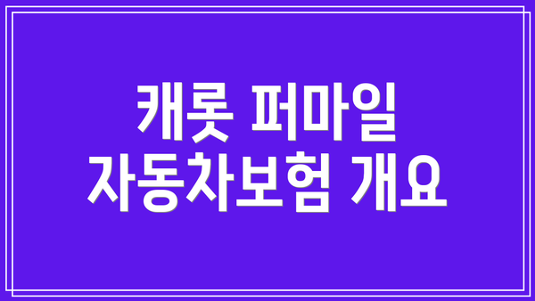 캐롯 퍼마일 자동차보험 개요