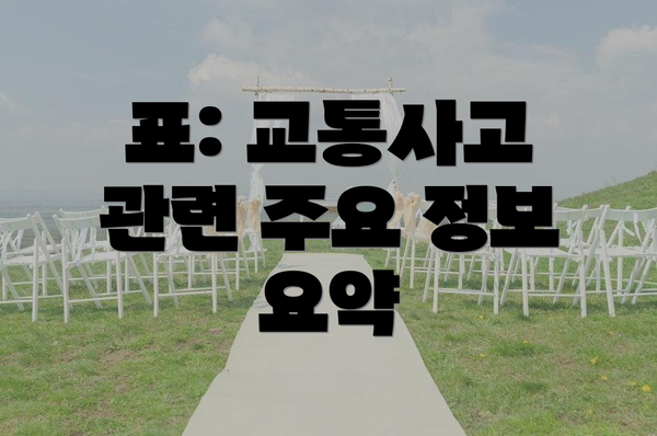 표: 교통사고 관련 주요 정보 요약