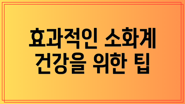 효과적인 소화계 건강을 위한 팁