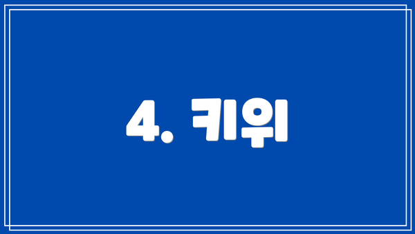 4. 키위