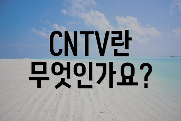 CNTV란 무엇인가요?