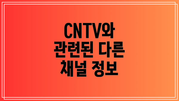CNTV와 관련된 다른 채널 정보