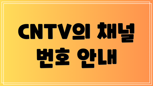 CNTV의 채널 번호 안내